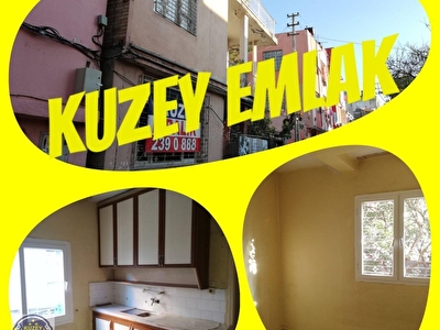 kariyerli uzman zeki egitimli yenilikci