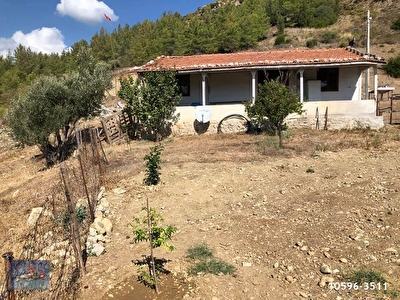 Antalya Satilik Arsa Tarla Bahce Fiyatlari Ilanlari Hurriyet Emlak