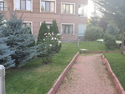 park aluna satilik