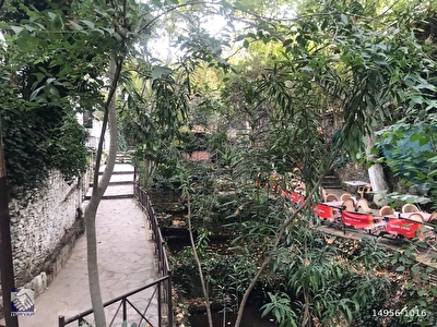 atiye deniz resimleri