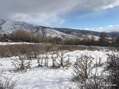 cankiri sahibinden satilik arsa fiyatlari ilanlari hurriyet emlak