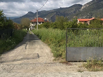 atiye deniz resimleri