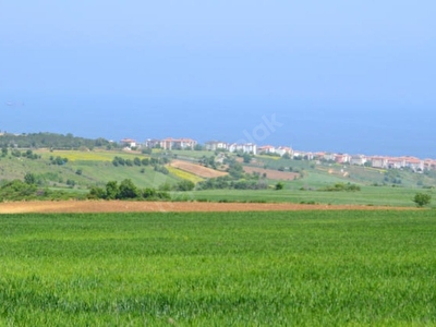 Buyukcekmece Satilik Arsa Tarla Bahce Fiyatlari Ilanlari Hurriyet Emlak