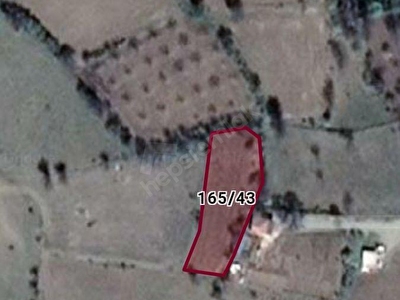 Merzifon Karamustafapasa Koyu Satilik Arsa Tarla Bahce Fiyatlari Ilanlari Hurriyet Emlak