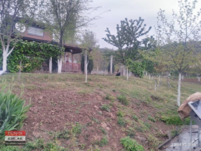 geyve satilik konut ev fiyatlari hurriyet emlak