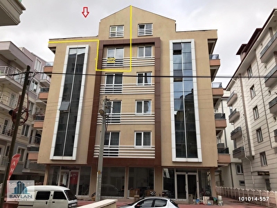 anasayfa hakkimizda haberler arama ekibimiz iletisim
