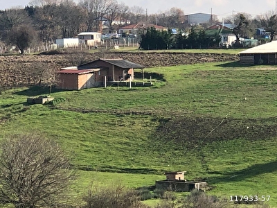 kiralik ciftlik fiyatlari ilanlari hurriyet emlak