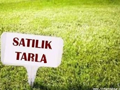 Cerkezkoy Satilik Arsa Tarla Bahce Fiyatlari Ilanlari Hurriyet Emlak