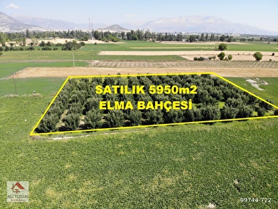 hurriyet emlak