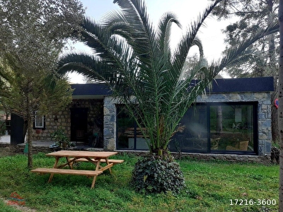zemlak