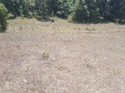 Hl Rzvugugrrhm
