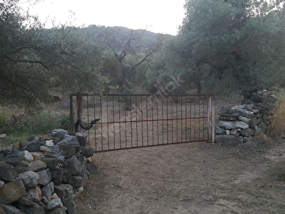 Kuyucak Satilik Arsa Tarla Bahce Fiyatlari Ilanlari Hurriyet Emlak