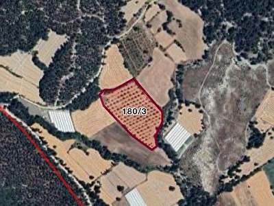 Gölhisar Evciler (Evciler)