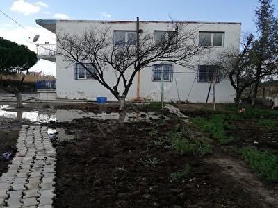 Izmir Satilik Ciftlik Fiyatlari Ilanlari Hurriyet Emlak