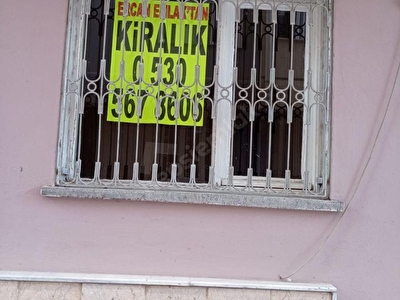 Otu3 Gcj4r Pnm
