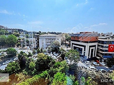 Beşiktaş Dikilitaş