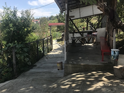 Karabuk Satilik Arsa Tarla Bahce Fiyatlari Ilanlari Hurriyet Emlak