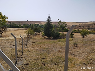Ankara Golbasi Sahibinden Satilik Bahce Fiyatlari Ilanlari Hurriyet Emlak