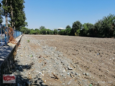 Kuzuculu Mh Satilik Arsa Tarla Bahce Fiyatlari Ilanlari Hurriyet Emlak