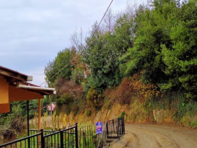 zonguldak merkez satilik mustakil ev fiyatlari ilanlari hurriyet emlak
