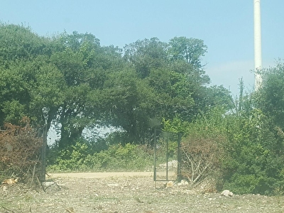 Canakkale Ayvacik Satilik Arsa Tarla Bahce Fiyatlari Ilanlari Hurriyet Emlak
