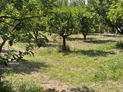 cal satilik arsa tarla bahce
