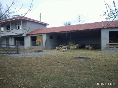 Kiralik Ciftlik Fiyatlari Ilanlari Hurriyet Emlak