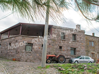 tum behram koyu ilanlari fiyatlari