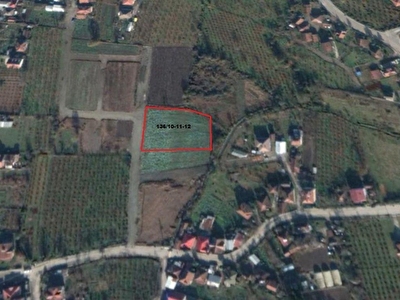 Duzce Merkez Satilik Arsa Tarla Bahce Fiyatlari Ilanlari Hurriyet Emlak