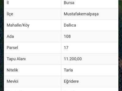 Mustafakemalpasa Dallica Mh Satilik Tarla Fiyatlari Ilanlari Hurriyet Emlak