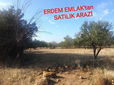 tum civril ilanlari fiyatlari hurriyet emlak