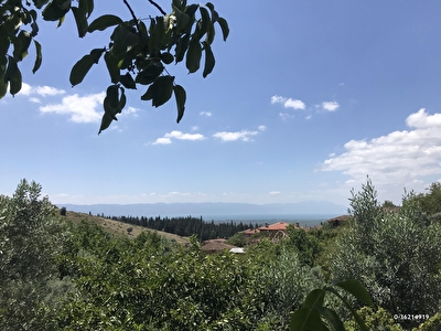 Bursa Satilik Koy Evi Fiyatlari Ilanlari Hurriyet Emlak