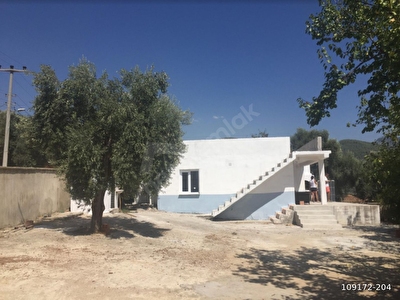 milas satilik koy evi fiyatlari ilanlari hurriyet emlak
