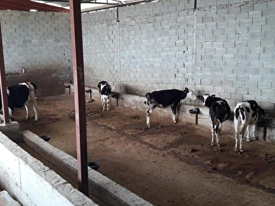 Hatay Satilik Ciftlik Fiyatlari Ilanlari Hurriyet Emlak