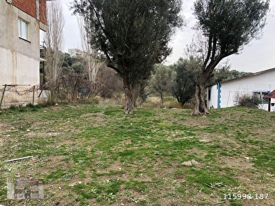 Bornova Satilik Arsa Tarla Bahce Fiyatlari Ilanlari Hurriyet Emlak