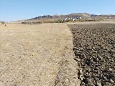 Van Satilik Arsa Tarla Bahce Fiyatlari Ilanlari Hurriyet Emlak