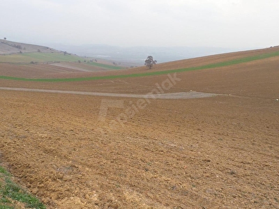Bursa Yenisehir Satilik Arsa Tarla Bahce Fiyatlari Ilanlari Hurriyet Emlak