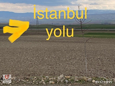 satilik arsalar ilanlari www