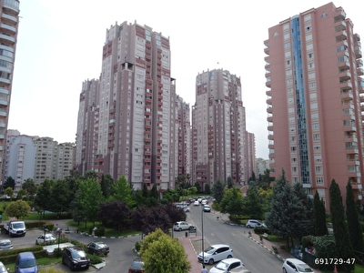 Gbp8h0y9eg6wbm