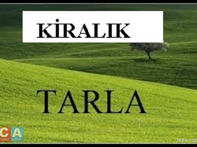 Antalya Kiralik Tarla Fiyatlari Ilanlari Hurriyet Emlak
