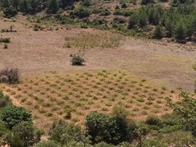 cal satilik arsa tarla bahce