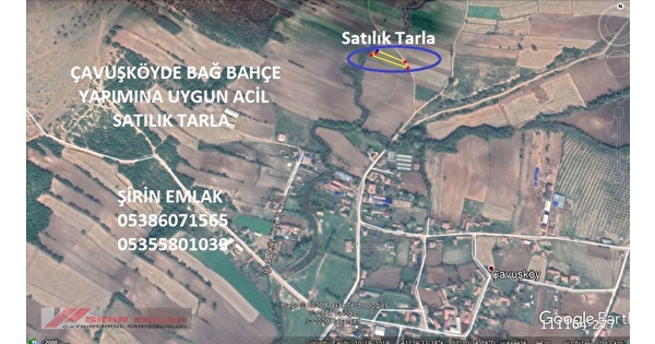 Babaeski Cavuskoyde Yola Cepheli Bag Bahceye Uygun Satilik Tarla Hurriyet Emlak