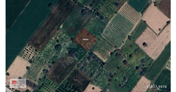 ISPARTA ATABEY HARMANÖREN'DE 1.178M2 SATILIK TARLA 65907-5976