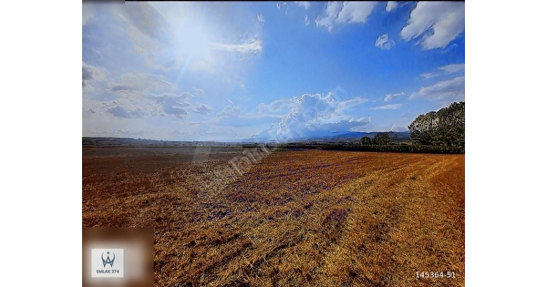 GELECEĞİN YATIRIMI YENİ SANAYİ BÖLGESİNDE YATIRIMLIK TARLA 145364