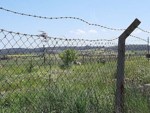 Çanakkale Eceabatta Ana Yola Cepheli, Bağ Evli Satılık Tarla - Görsel 13