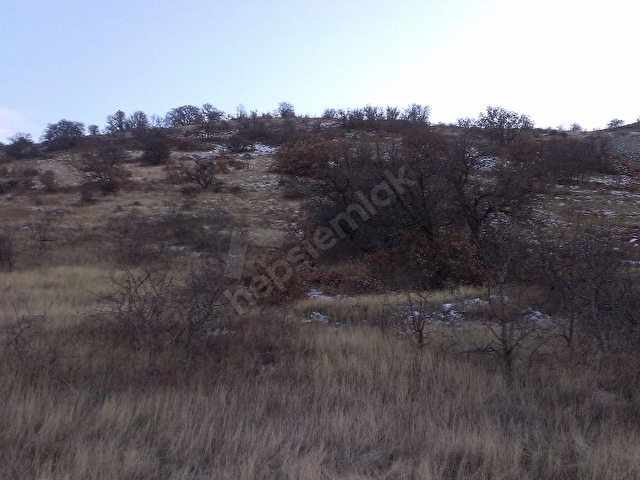 Yesilyurt Gunduzbey Oren Mevki Satilik Hisse 4 250 M Kayisi Bag 39123 1389 Hurriyet Emlak