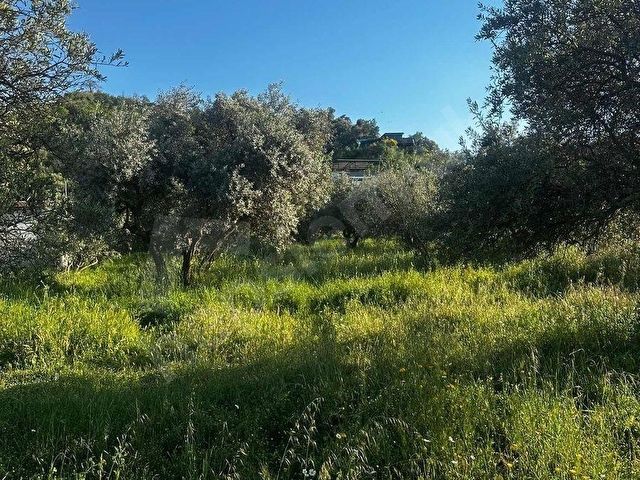 Avşar Mahallesinde 3 Kat İmarlı Satılık Arsa