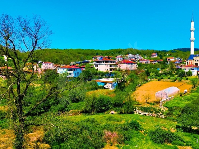 GK GÜLER GAYRİMENKUL DEN ŞİLE KÖMÜRLÜKTE 2290 M2 SATILIK BAHÇE - Görsel 14