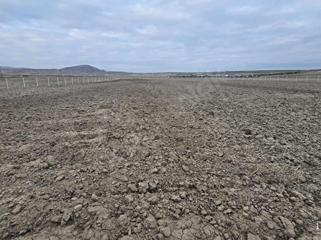 7.200M2 BAĞ TEK TAPU RESMİ KADASTRON YOLLA CEPE EV YAPMAYA UYGUN - Görsel 17