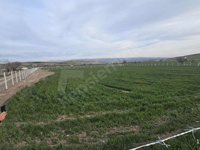 7.200M2 BAĞ TEK TAPU RESMİ KADASTRON YOLLA CEPE EV YAPMAYA UYGUN - Görsel 9